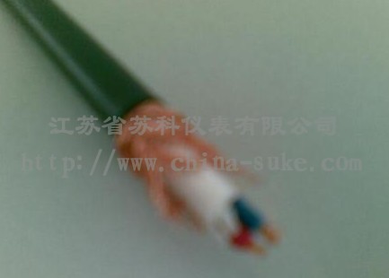 ������̖��|