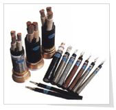 ʯ������Ȼ���ÿ��ƹܾ�